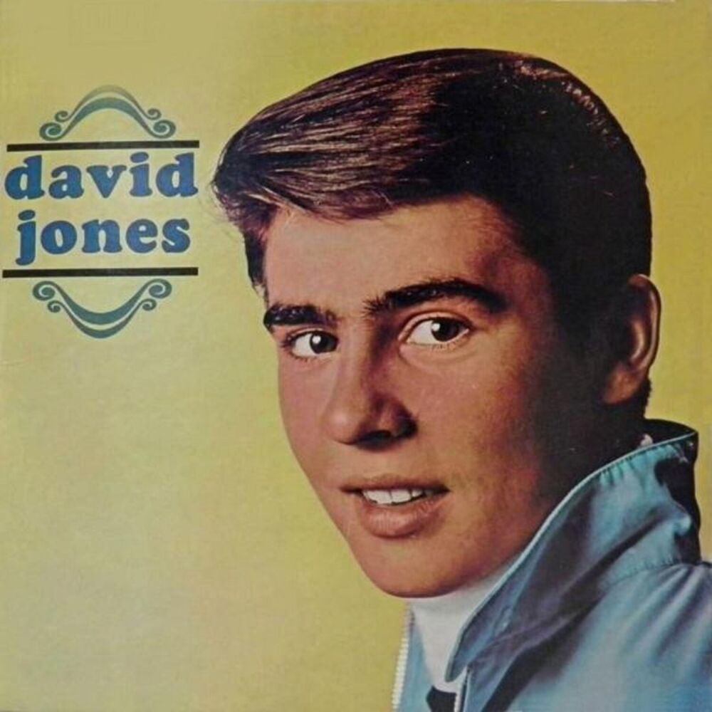 Davy Jones - David Jones  LP LP